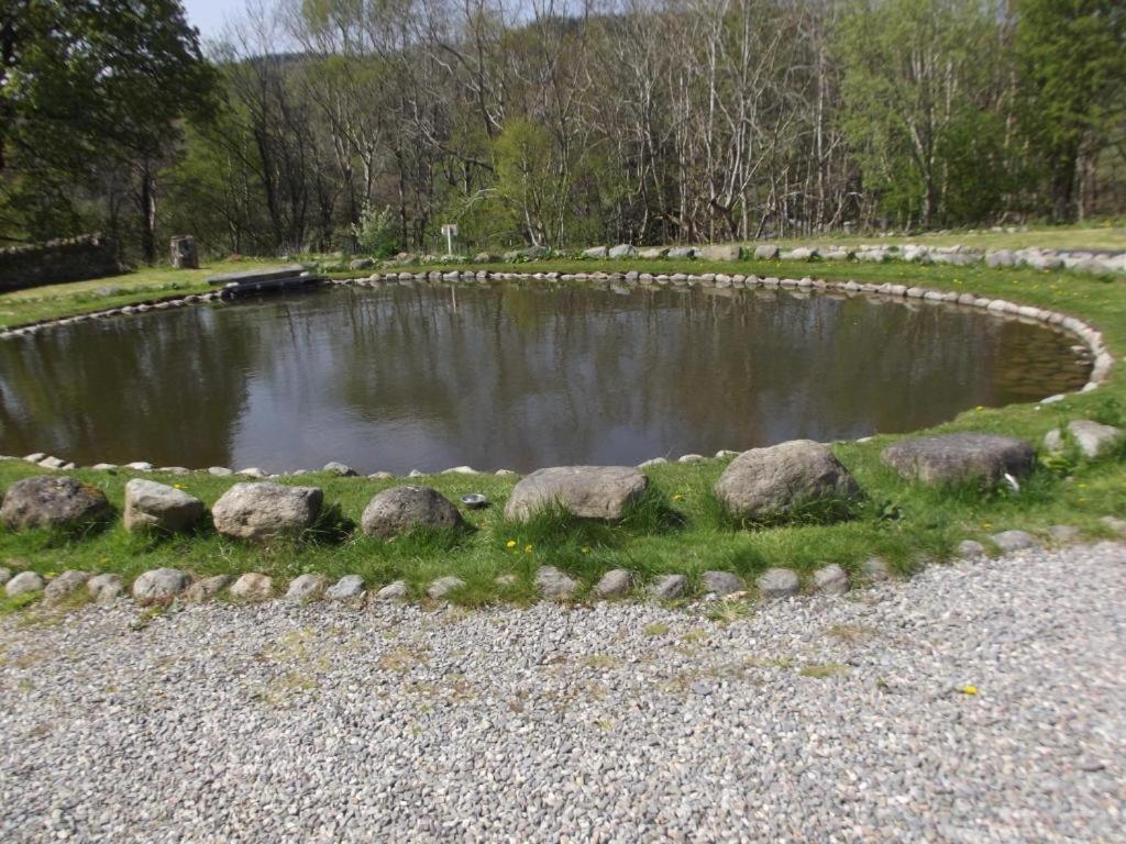 Llandderfel Cosy Ground Floor Disabled Friendly Room In Farm House מראה חיצוני תמונה