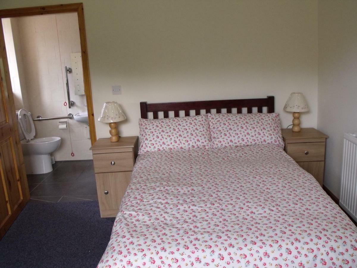 Llandderfel Cosy Ground Floor Disabled Friendly Room In Farm House מראה חיצוני תמונה