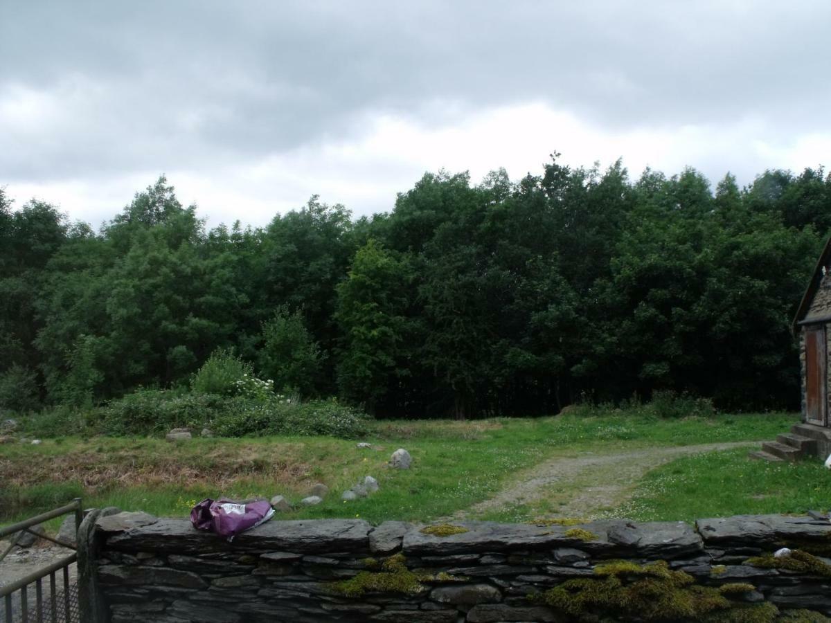 Llandderfel Cosy Ground Floor Disabled Friendly Room In Farm House מראה חיצוני תמונה